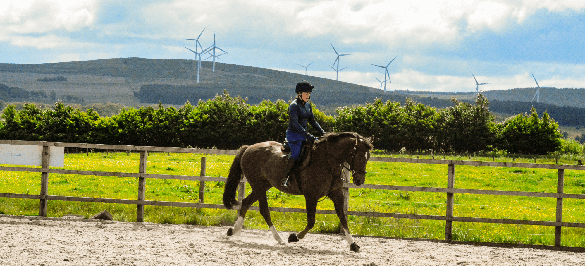 a person in a helmet riding a horse in a paddock